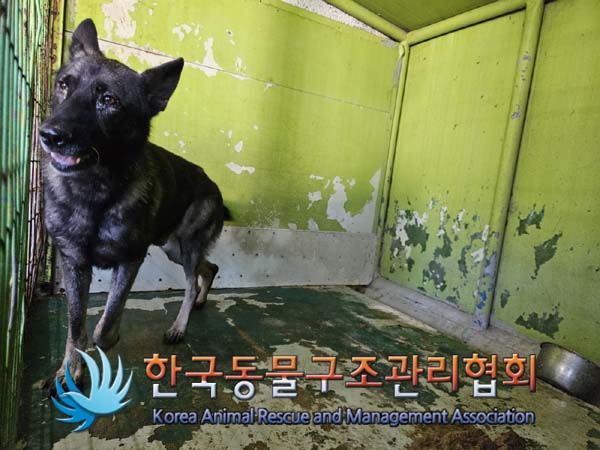 한국동물구조관리협회_441559202400990